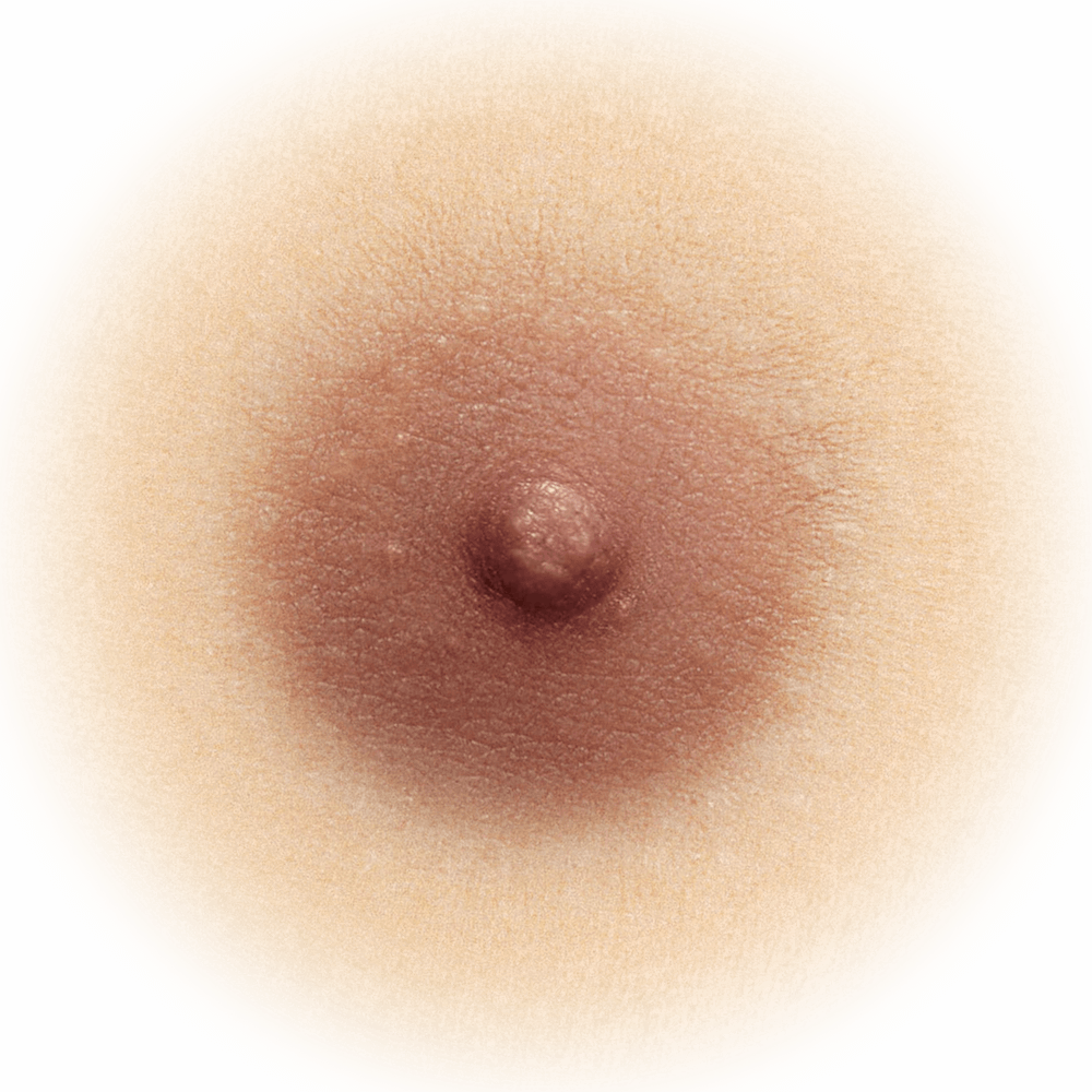 nipple